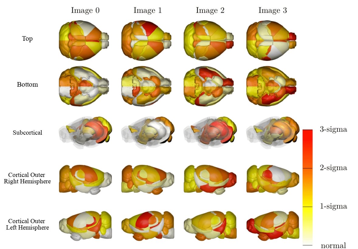 BrainPainter rendering of a mouse brain with highlighted regions