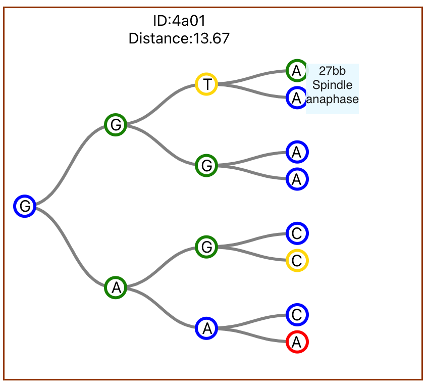 Close-up of a single cell lineage tree with node details on hover